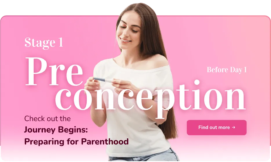Stage 1: Preconception