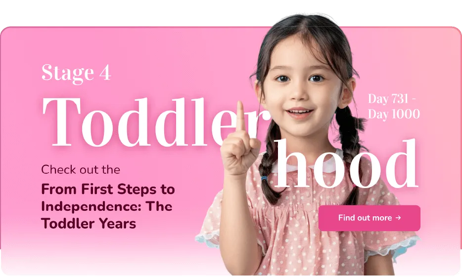 Stage 4: Toddlerhood