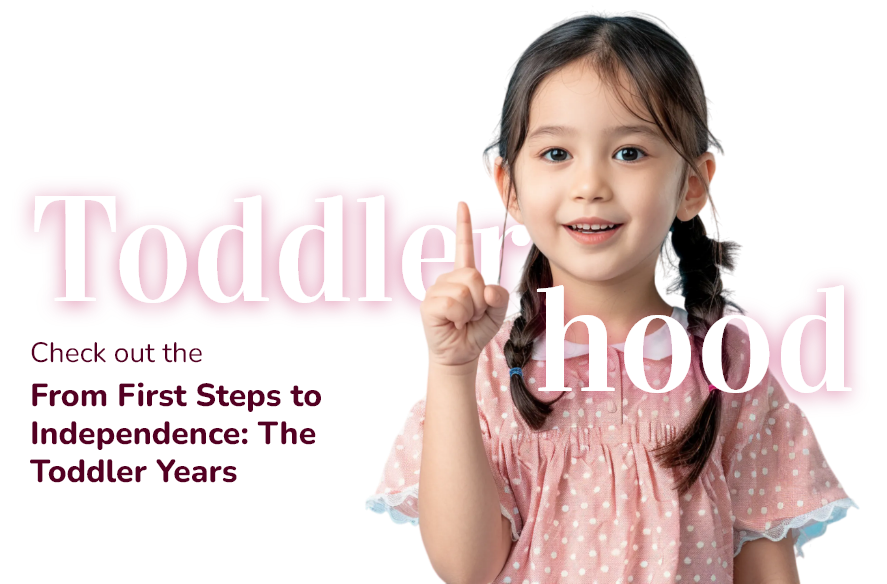Stage 4: Toddlerhood